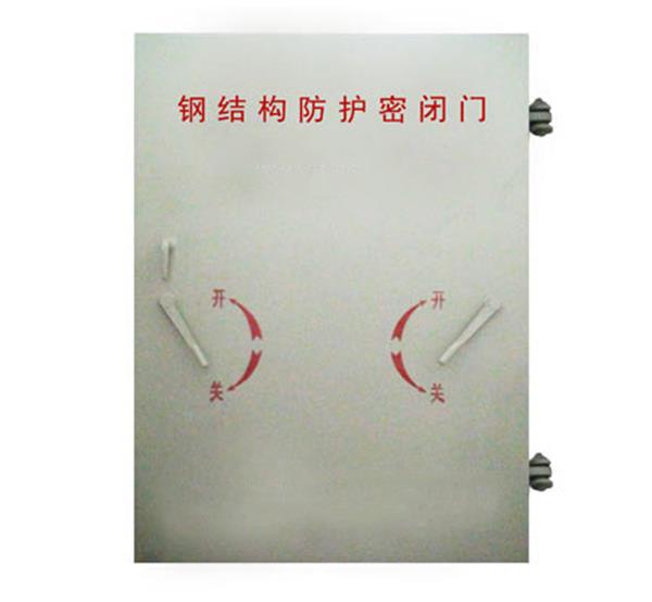 钢结构单扇防护密闭门 钢结构单扇防护密闭门